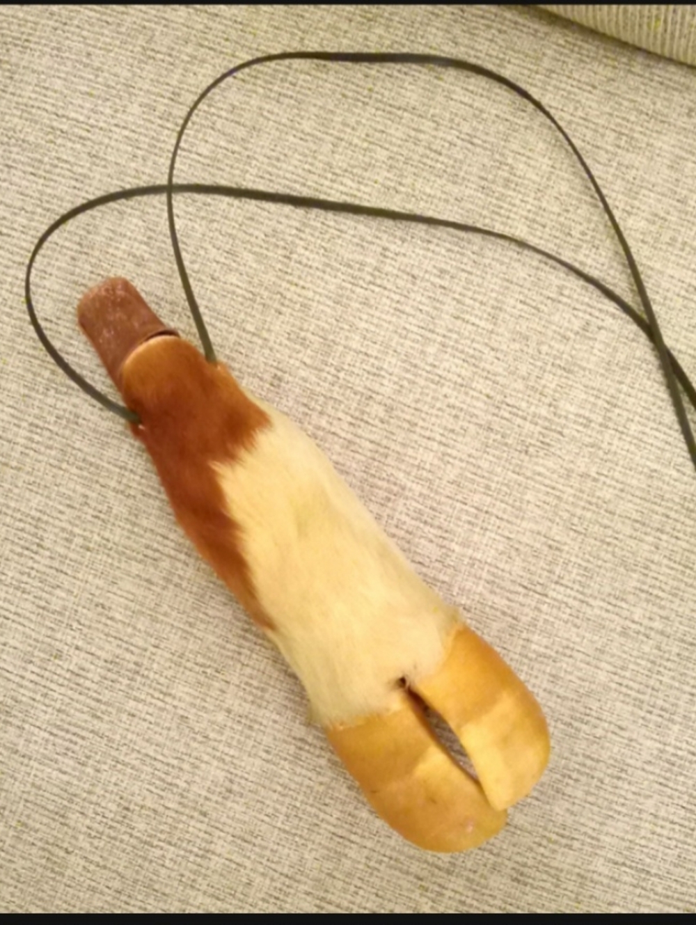 Unique Taxidermy Canteen